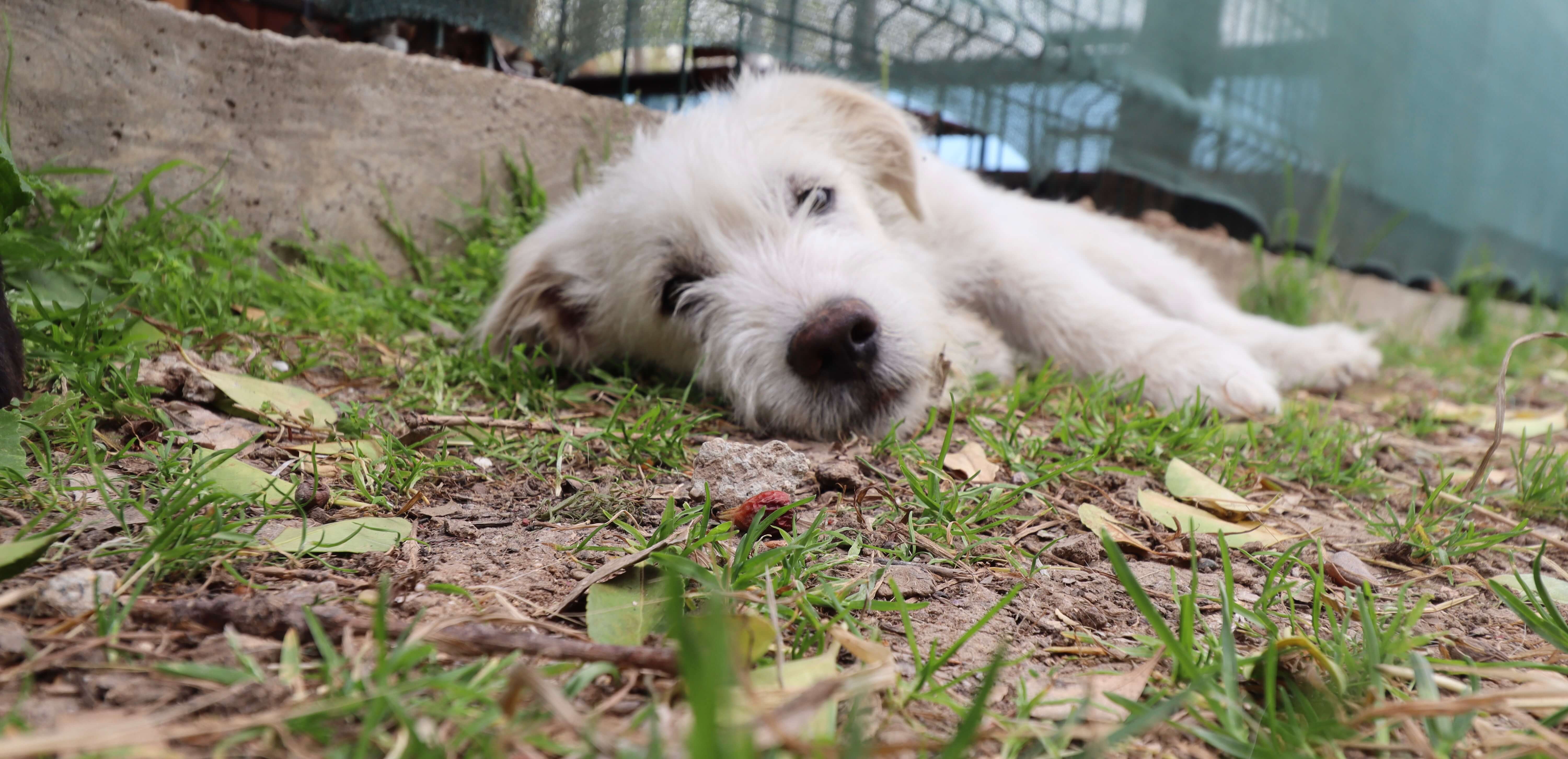 Özel Yonca Özel Rehabilitasyon ve Eğitim Merkezi